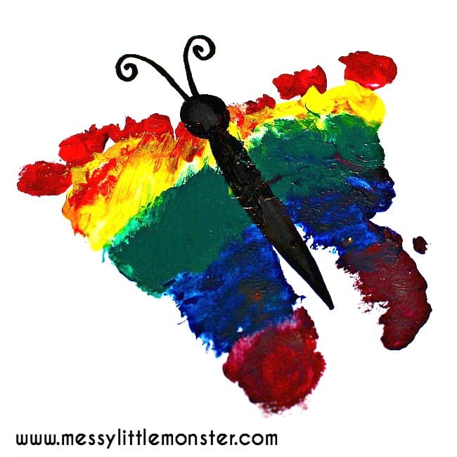 Rainbow Footprint Butterfly